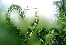 霍芬海姆客场告捷，积分榜排名上升