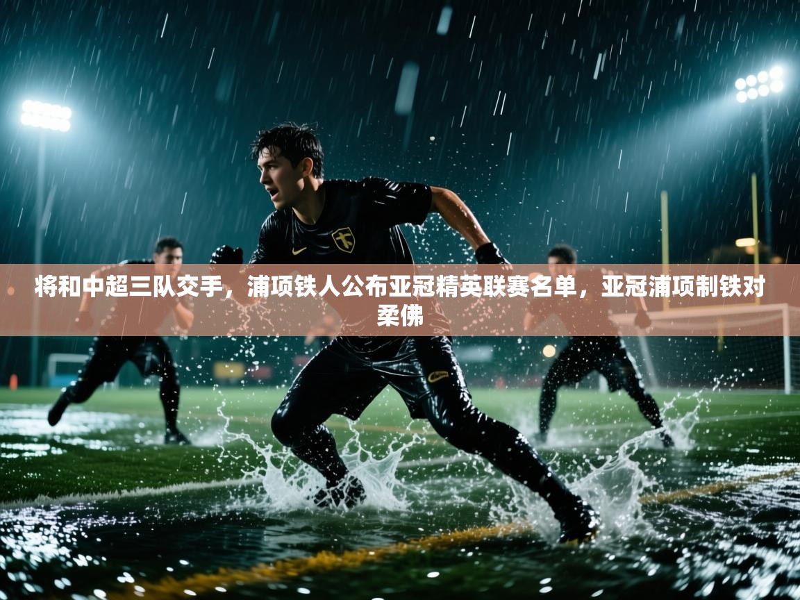 将和中超三队交手，浦项铁人公布亚冠精英联赛名单，亚冠浦项制铁对柔佛  第2张