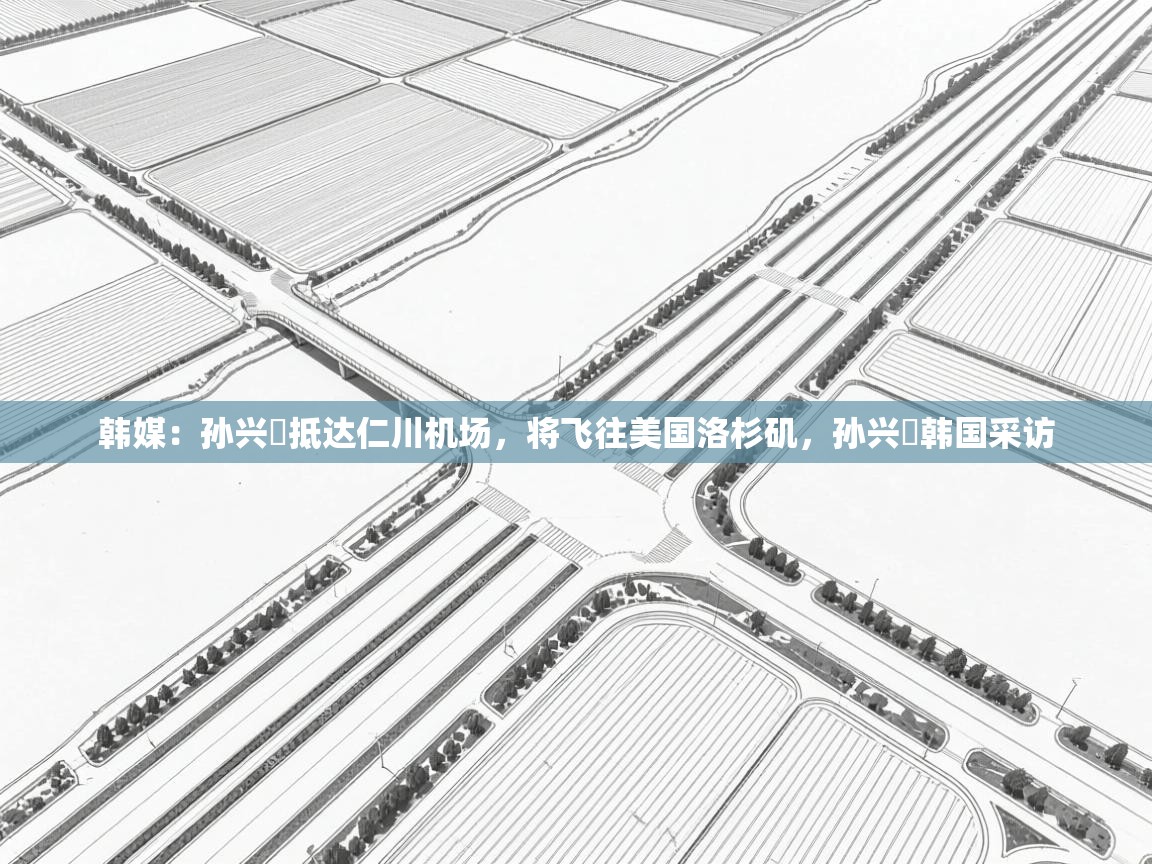 韩媒：孙兴慜抵达仁川机场，将飞往美国洛杉矶，孙兴慜韩国采访  第1张