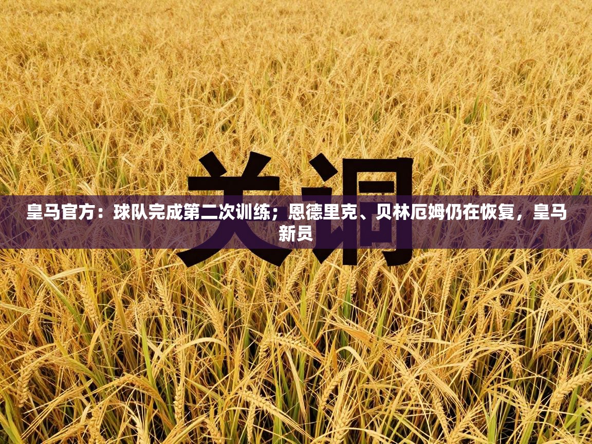 皇马官方：球队完成第二次训练；恩德里克、贝林厄姆仍在恢复，皇马新员  第2张