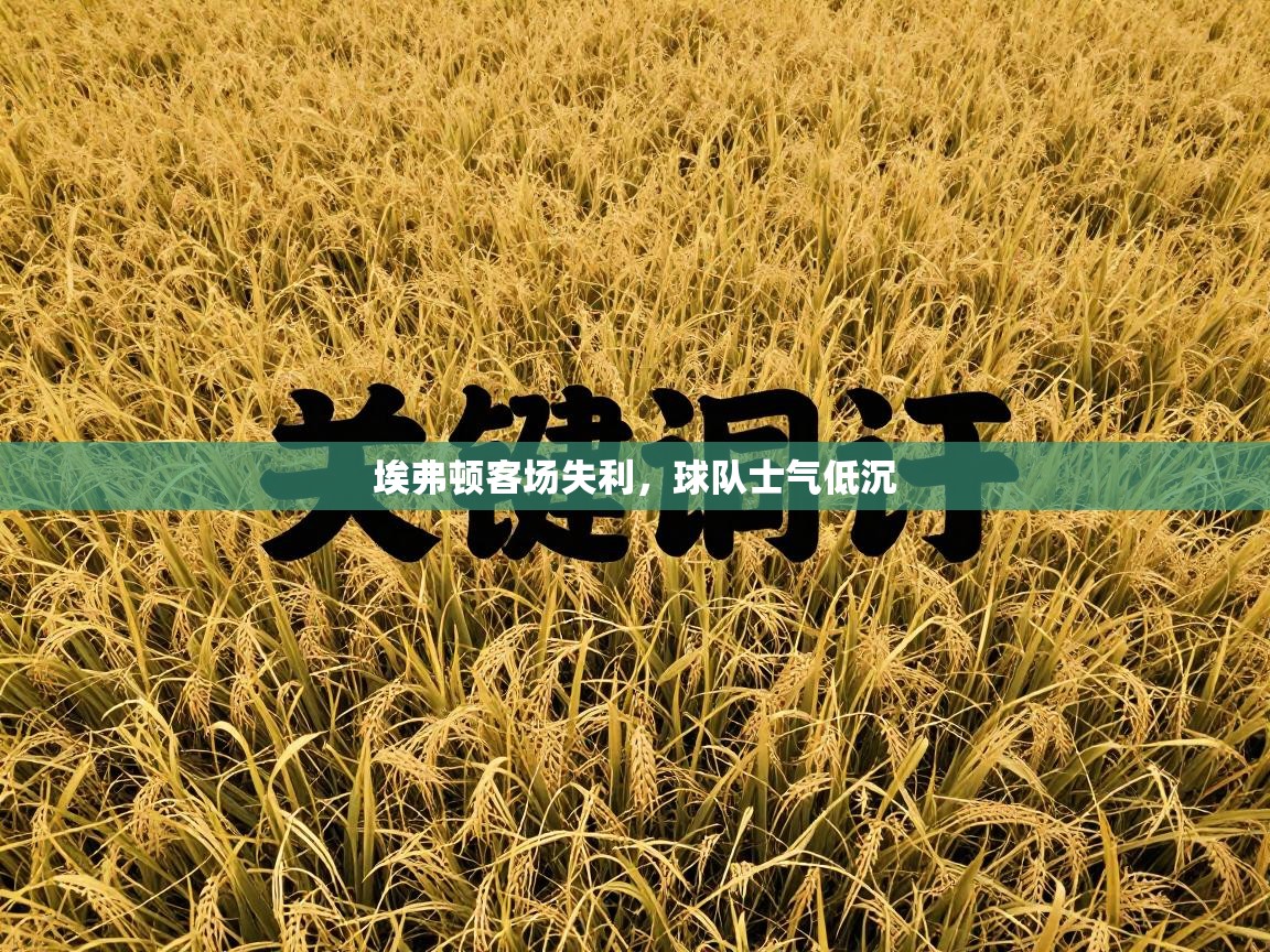 埃弗顿客场失利，球队士气低沉  第2张