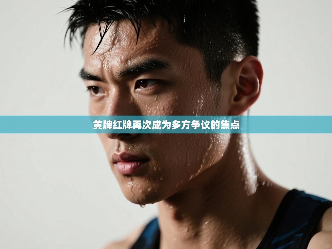 黄牌红牌再次成为多方争议的焦点  第2张