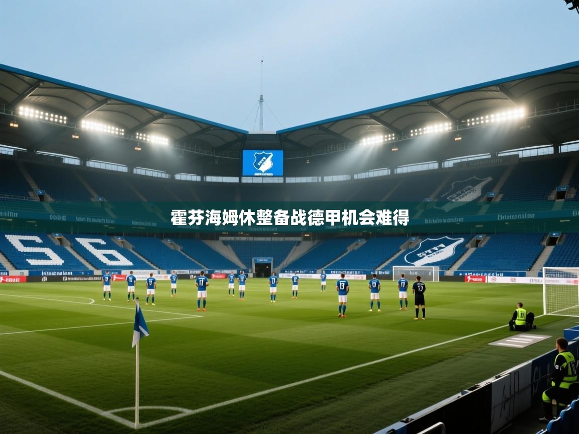 霍芬海姆休整备战德甲机会难得  第1张